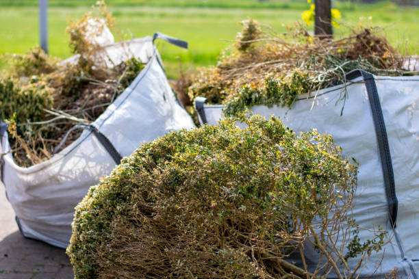 Best Local Junk Hauling  in East Greenville, PA
